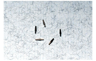 ba3