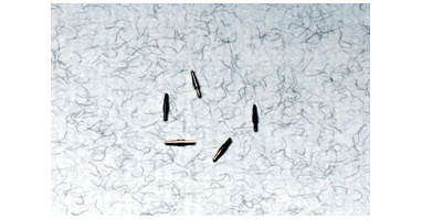 ba3